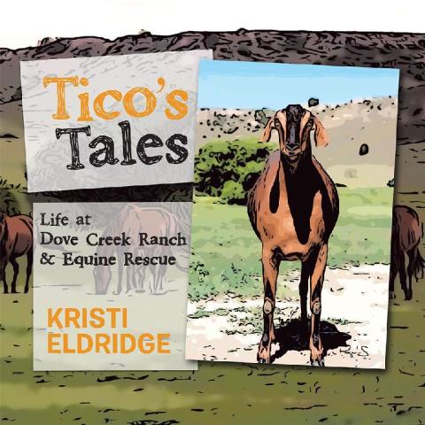 Cover image for book Tico’s Tales