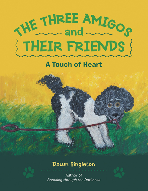 Cover image for book The Three Amigos and Their Friends