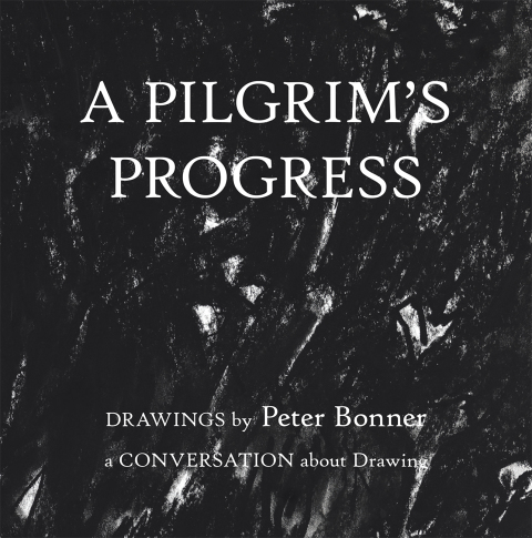 Cover image for book A Pilgrim’s Progress