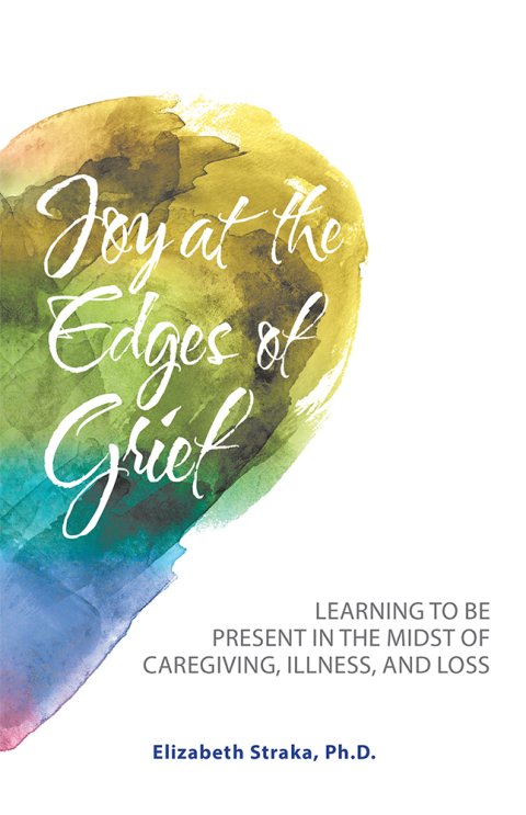 Cover image for book Joy at the Edges of Grief