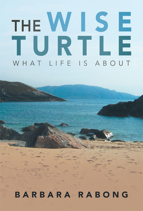 Cover image for book The Wise Turtle