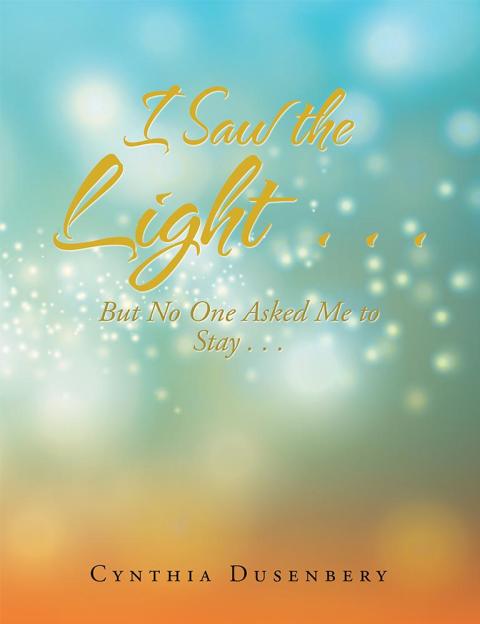 Cover image for book I Saw the Light . . .