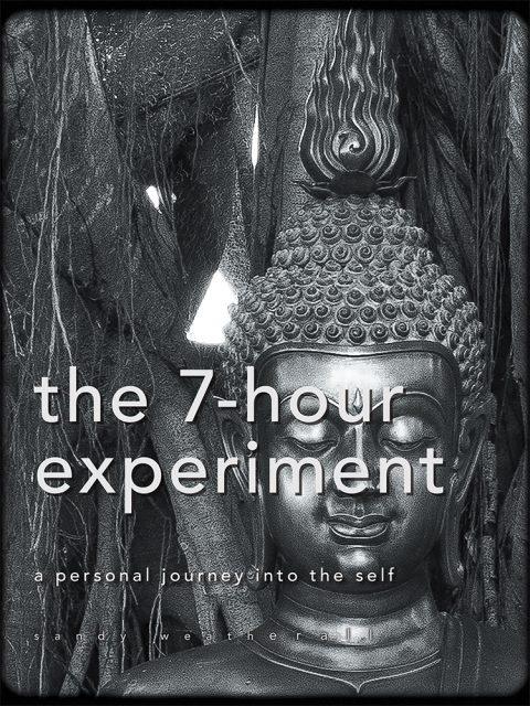 Cover image for book The 7-Hour Experiment