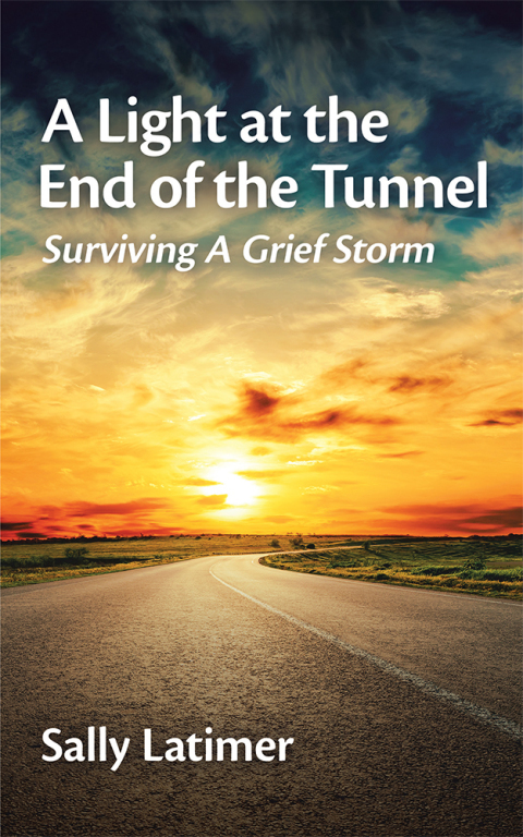 Cover image for book A Light at the End of the Tunnel