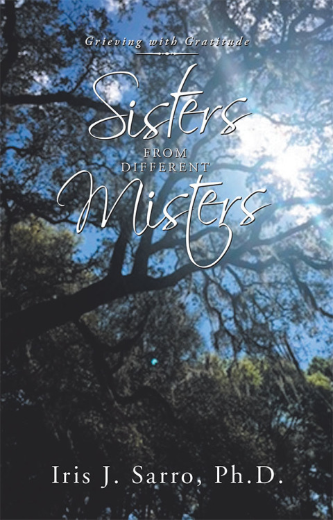 Cover image for book Sisters from Different Misters