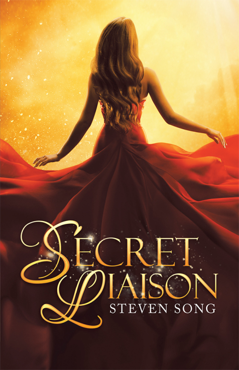 Cover image for book Secret Liaison
