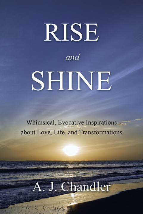Cover image for book Rise and Shine