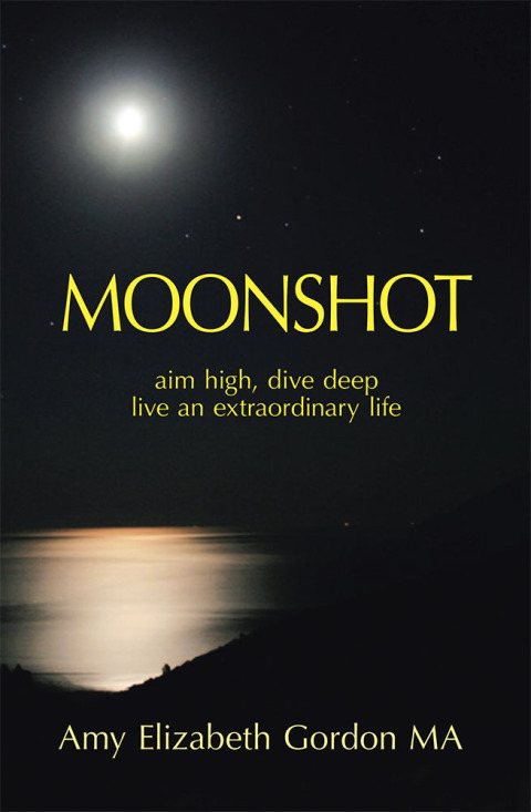 Cover image for book Moonshot