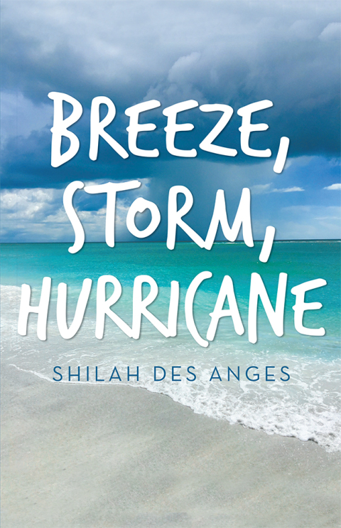 Cover image for book Breeze, Storm, Hurricane