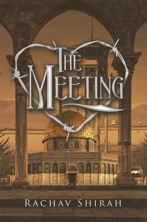 Cover image for book The Meeting