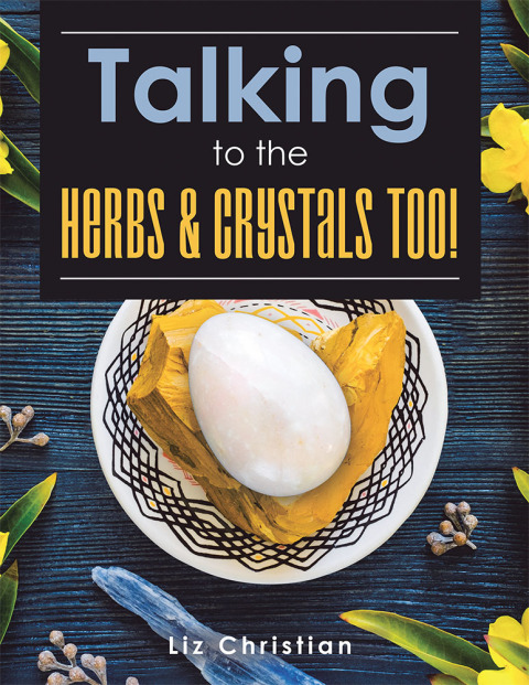 Cover image for book Talking to the Herbs & Crystals Too!