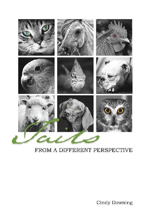 Cover image for book Tails from a Different Perspective