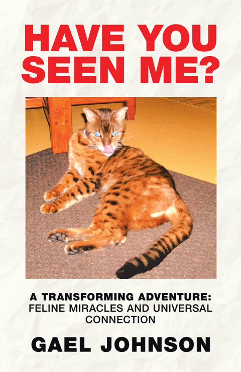 Cover image for book Have You Seen Me?