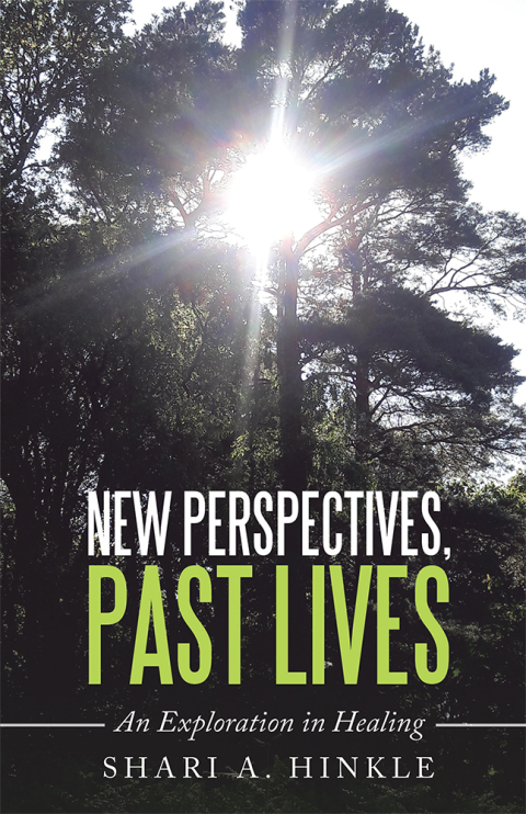 Cover image for book New Perspectives, Past Lives