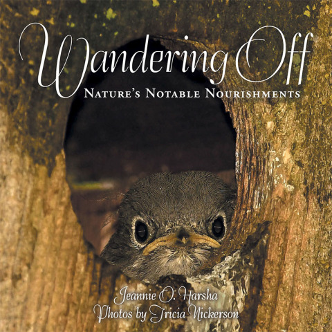 Cover image for book Wandering Off