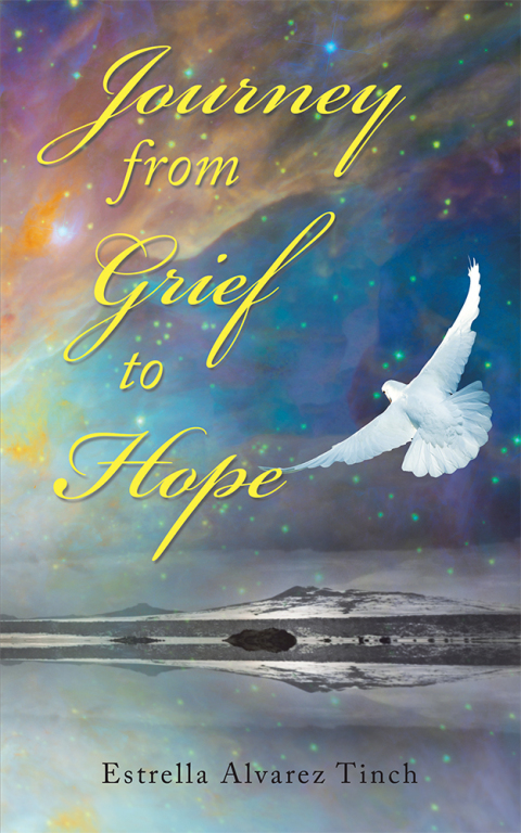 Cover image for book Journey from Grief to Hope