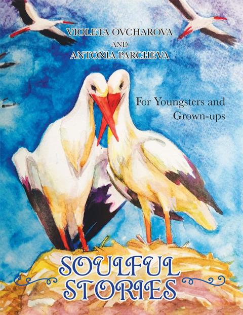 Cover image for book Soulful Stories