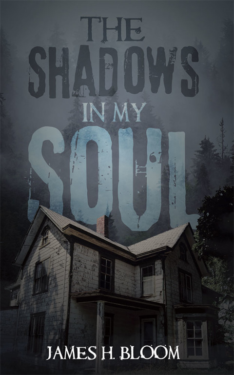 Cover image for book The Shadows