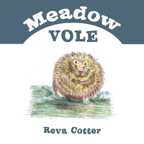 Cover image for book Meadow Vole