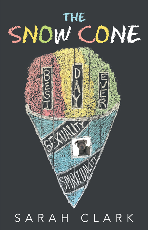 Cover image for book The Snow Cone