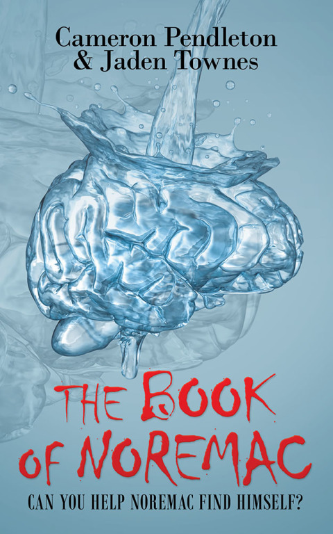 Cover image for book The Book of Noremac