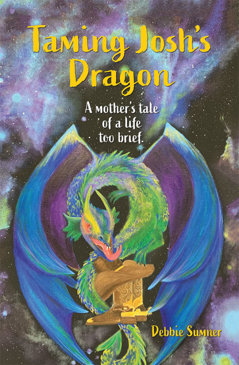 Cover image for book Taming Josh's Dragon