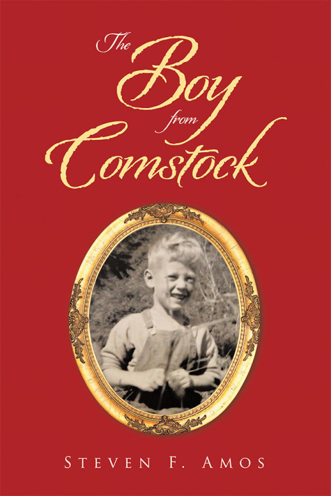 Cover image for book The Boy from Comstock