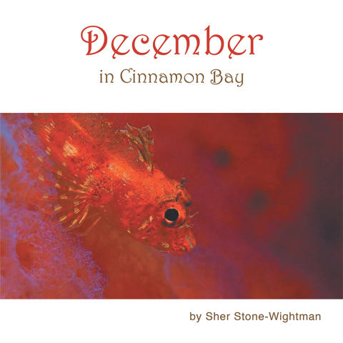Cover image for book December in Cinnamon Bay