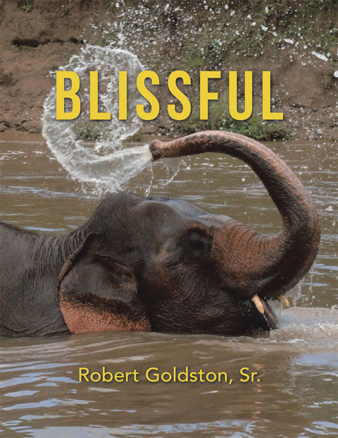 Cover image for book Blissful