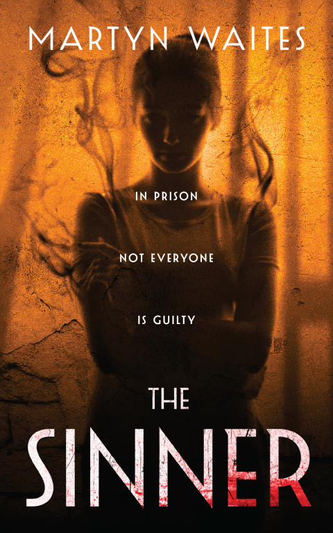 Cover image for book The Sinner