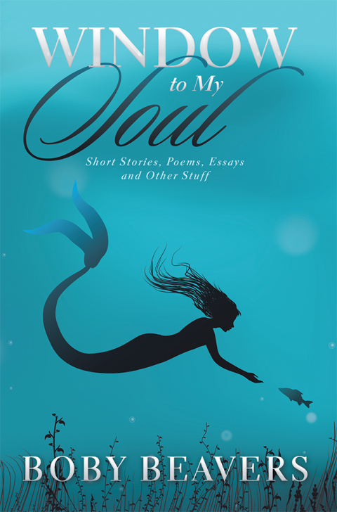 Cover image for book Window to My Soul