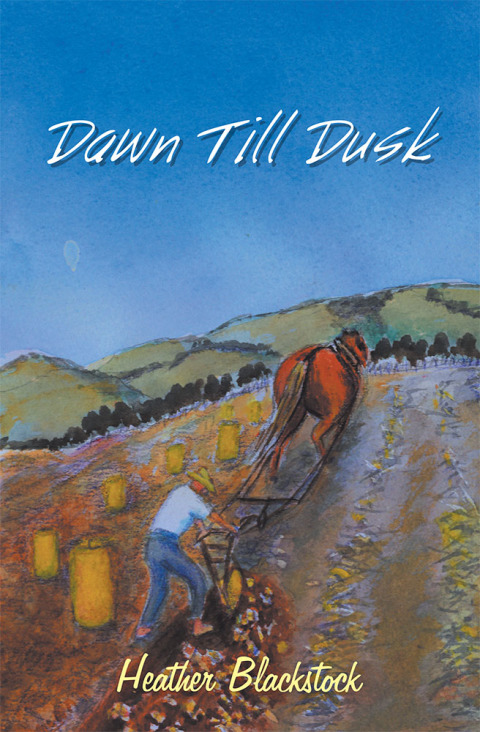 Cover image for book Dawn Till Dusk