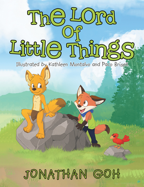 Cover image for book The Lord of Little Things