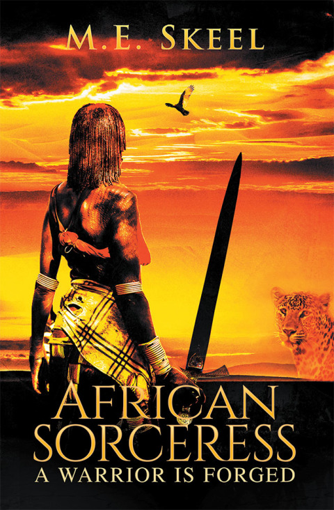 Cover image for book African Sorceress