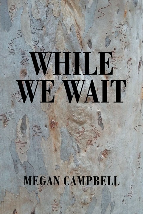 Cover image for book While We Wait