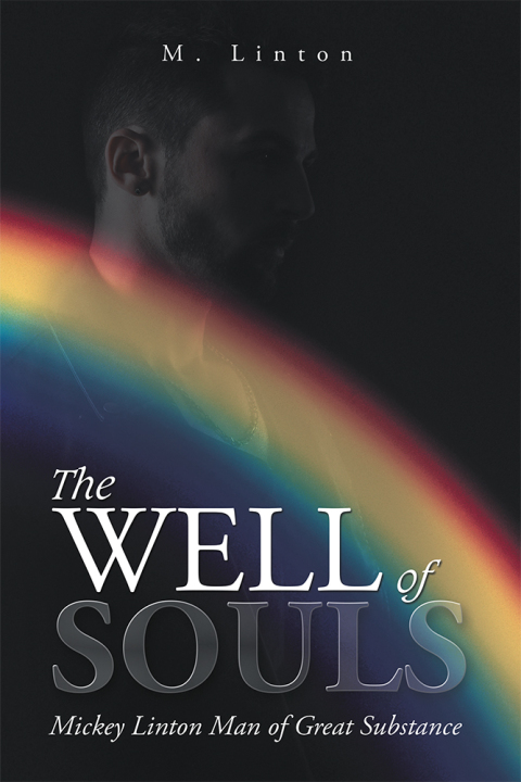Cover image for book The Well of Souls