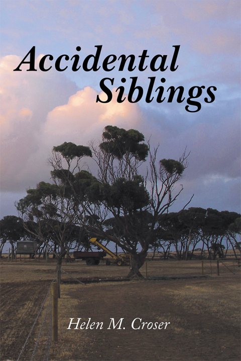 Cover image for book Accidental Siblings