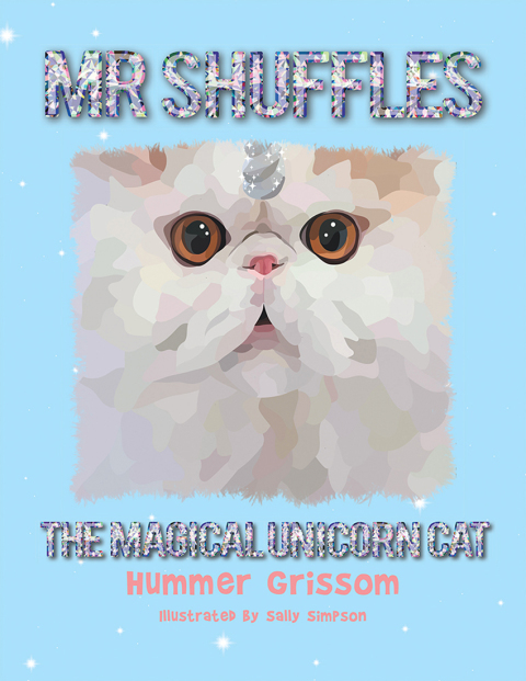 Cover image for book Mr Shuffles