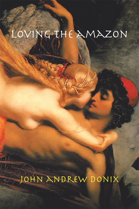 Cover image for book Loving the Amazon