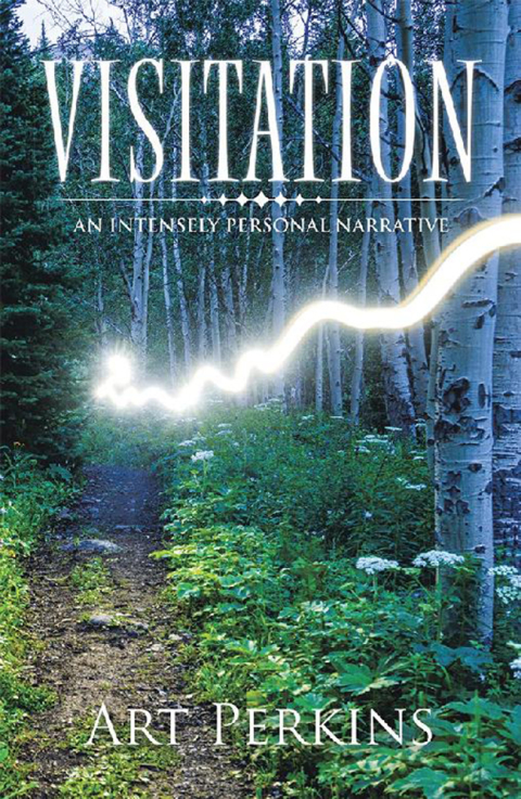 Cover image for book Visitation