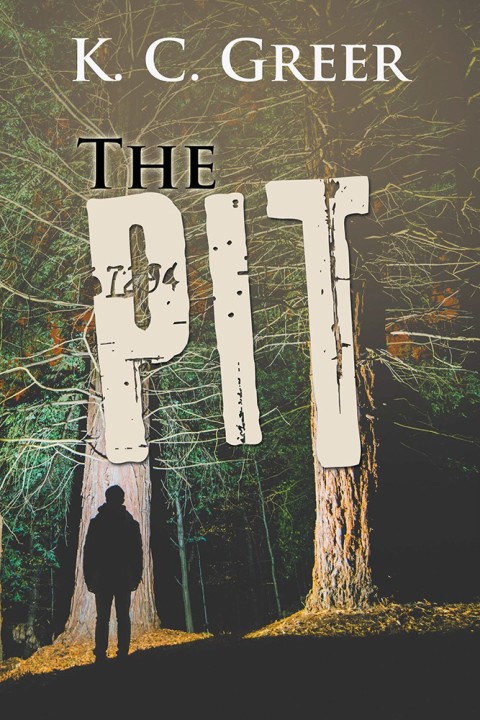 Cover image for book The Pit