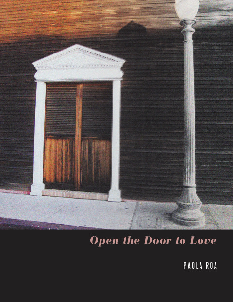 Cover image for book Open the Door to Love