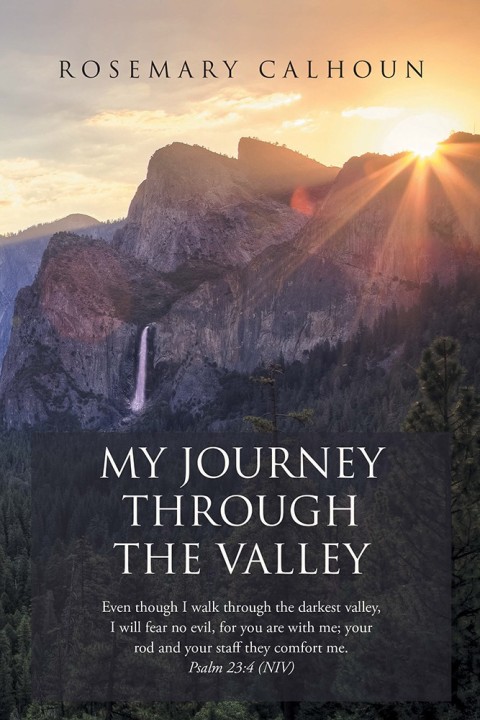 Cover image for book My Journey Through the Valley