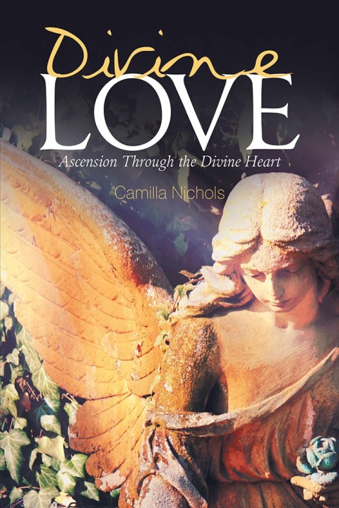 Cover image for book Divine Love