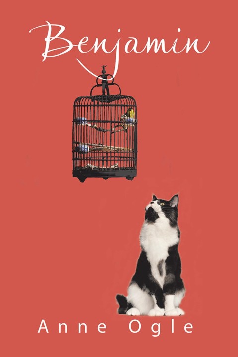 Cover image for book Benjamin