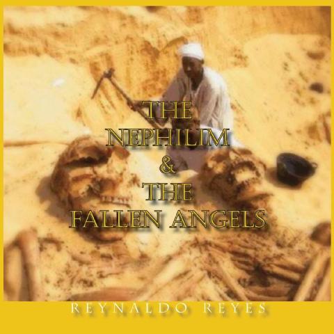 Cover image for book The Nephilim and the Fallen Angels