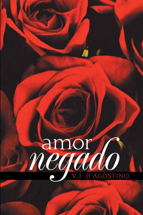 Cover image for book Amor Negado