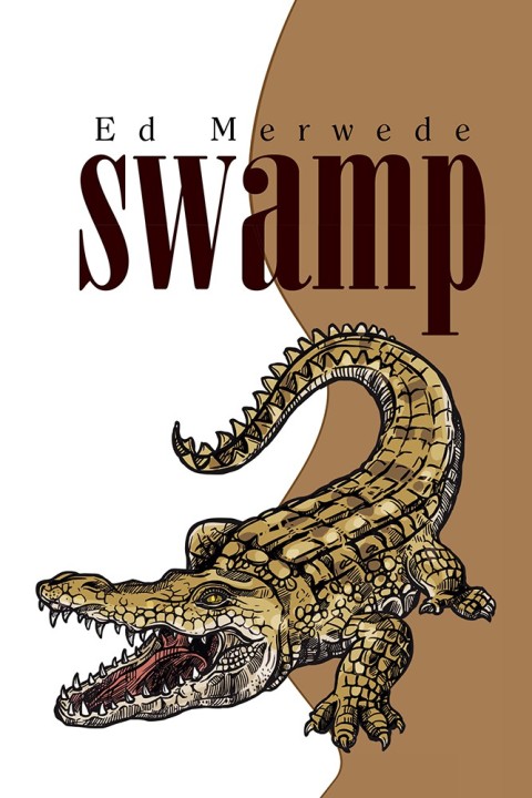 Cover image for book Swamp