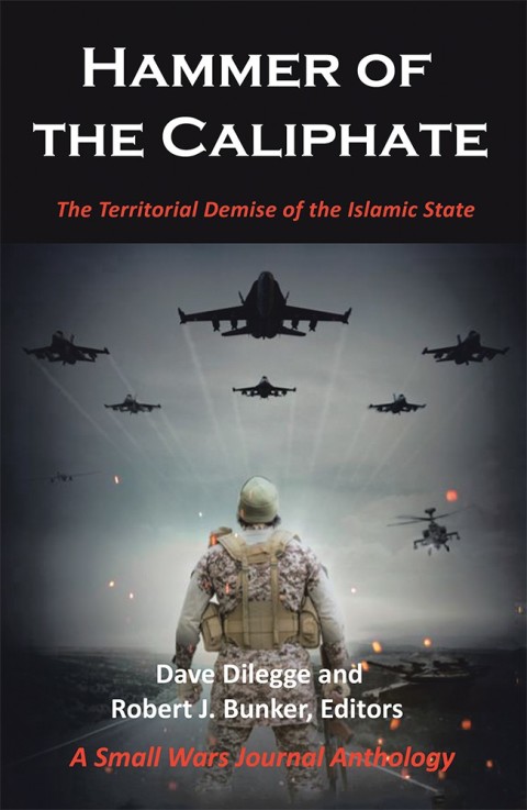 Cover image for book Hammer of the Caliphate