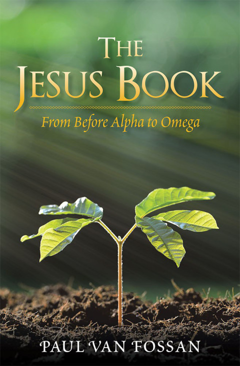 Cover image for book The Jesus Book